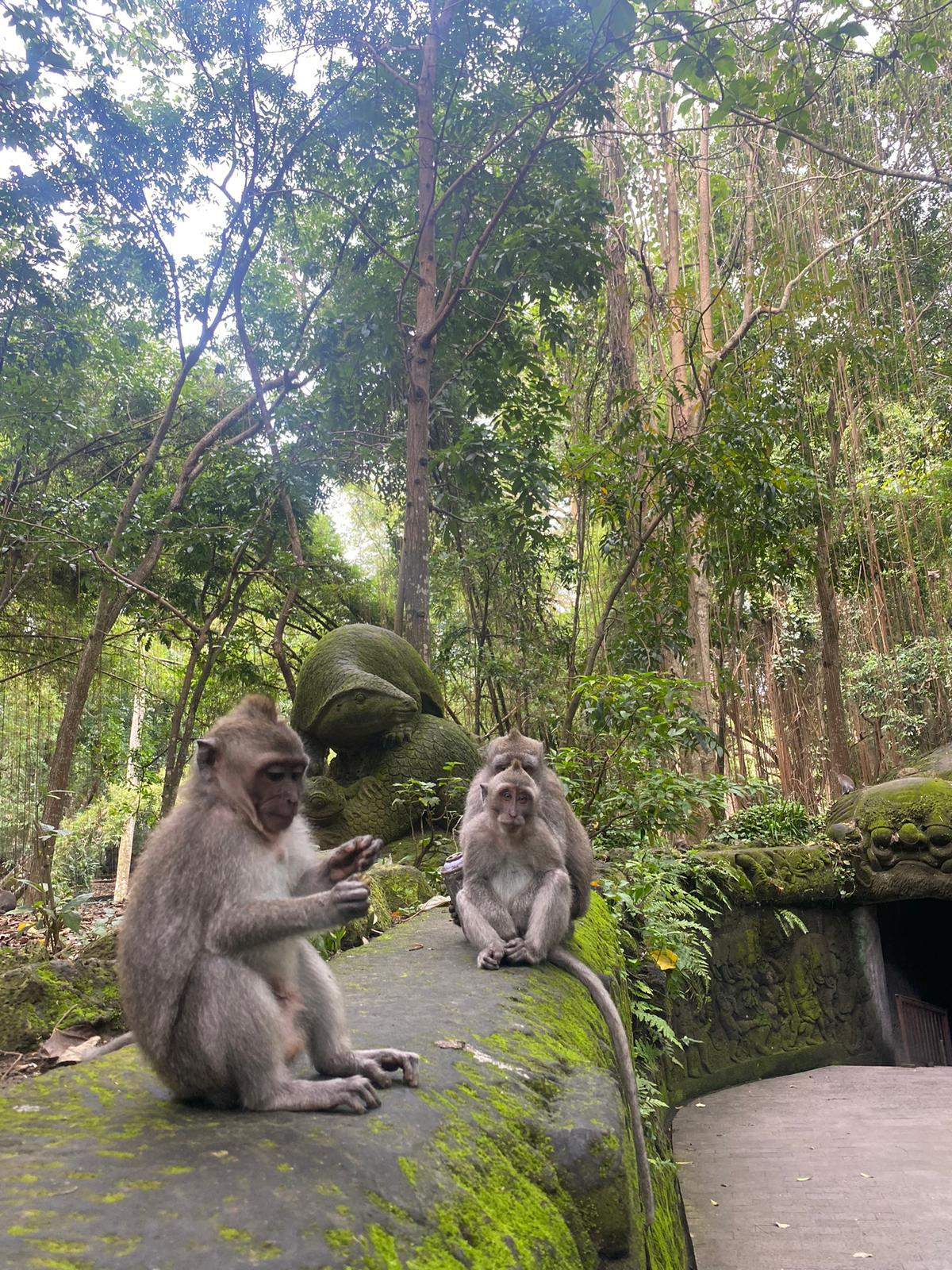 Bali